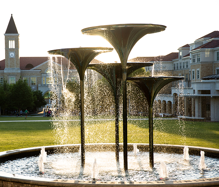 Frog Fountain